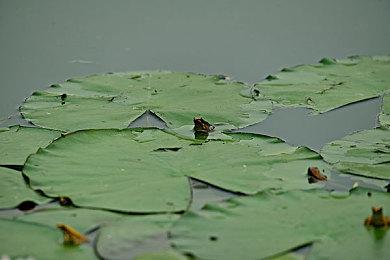 国产惊悚游戏《三伏》新情报公开 年底公布试玩DEMO